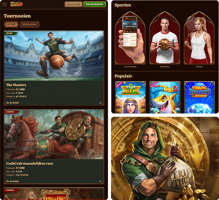 WildRobin Casino functies