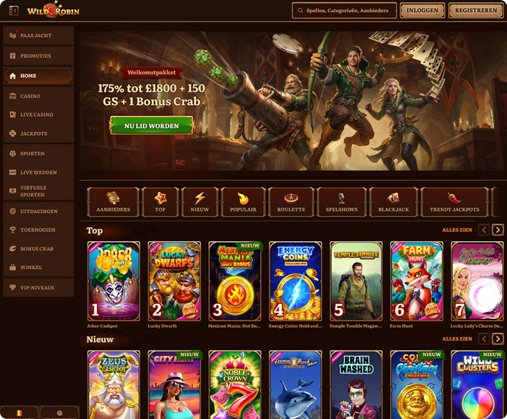 WildRobin Casino ontwerp